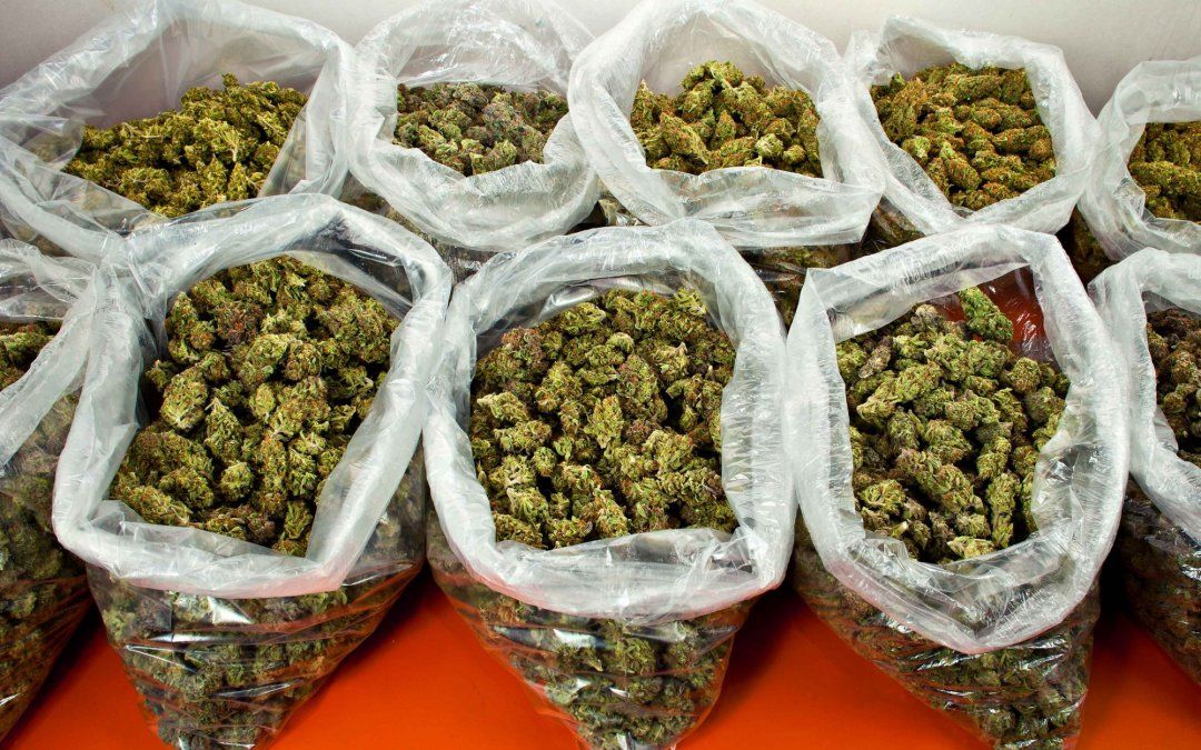 Se tragó una bolsa con marihuana para no ir preso