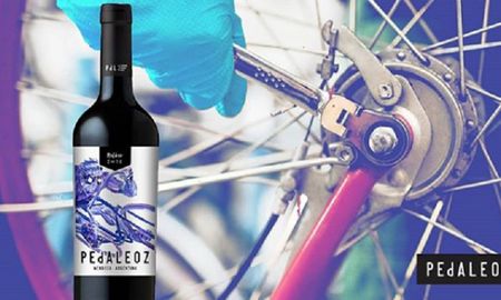 vino pedaleoz te ayuda a poner a punto tu bici en pandemia vino pedaleoz te ayuda a poner a punto tu bici en pandemia