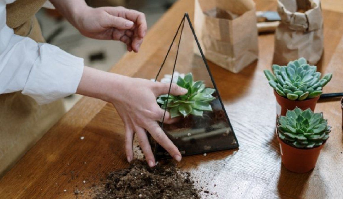 Datos para principiantes