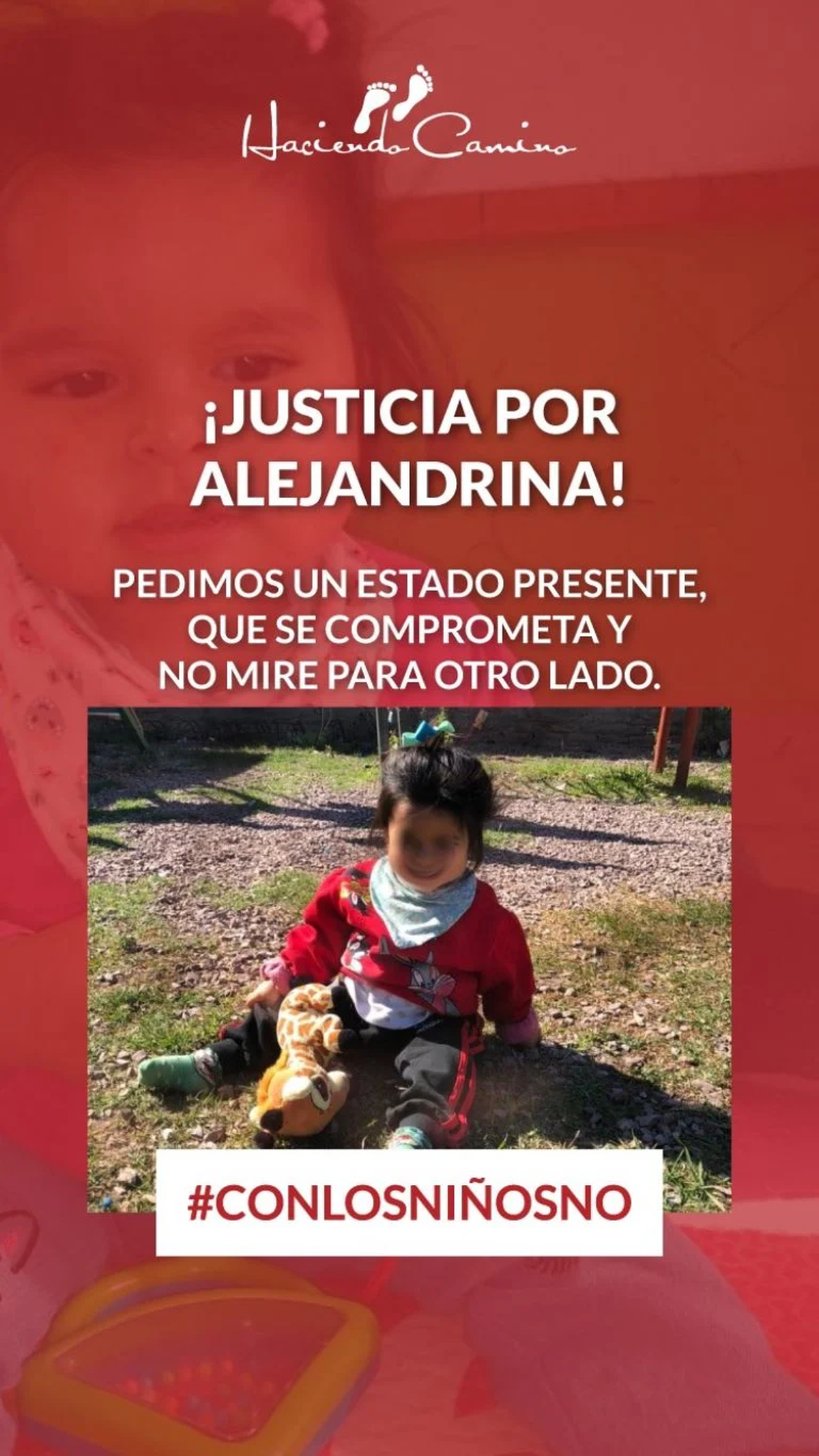 Desde Haciendo Camino, señalaron que la muerte de la menor podría haber sido evitada.