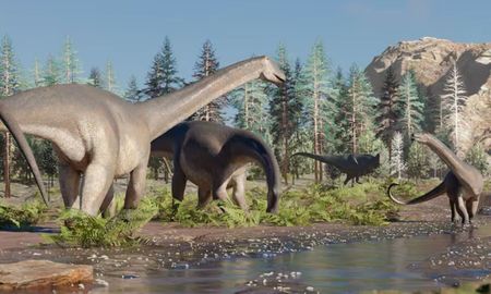 Sidersaura Marae, la especie de dinosaurio descubierta en Neuquén. Sidersaura Marae, la especie de dinosaurio descubierta en Neuquén.