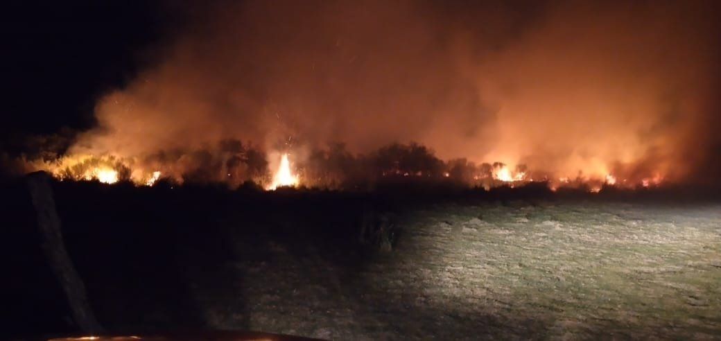 Bomberos intervinieron para apagar incendios de pastizales