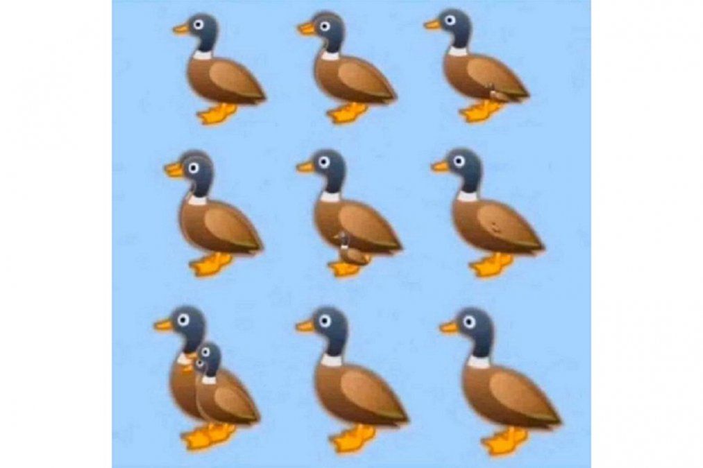 {altText(<p>#DuckChallenge</p>,#DuckChallenge, el reto viral del momento: ¿cuántos patos ves en la foto?)}