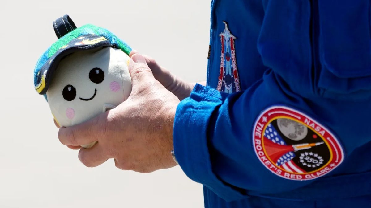 Artemis II camino a la Luna: el secreto que guarda "Rise", la mascota que  viaja con la tripulación