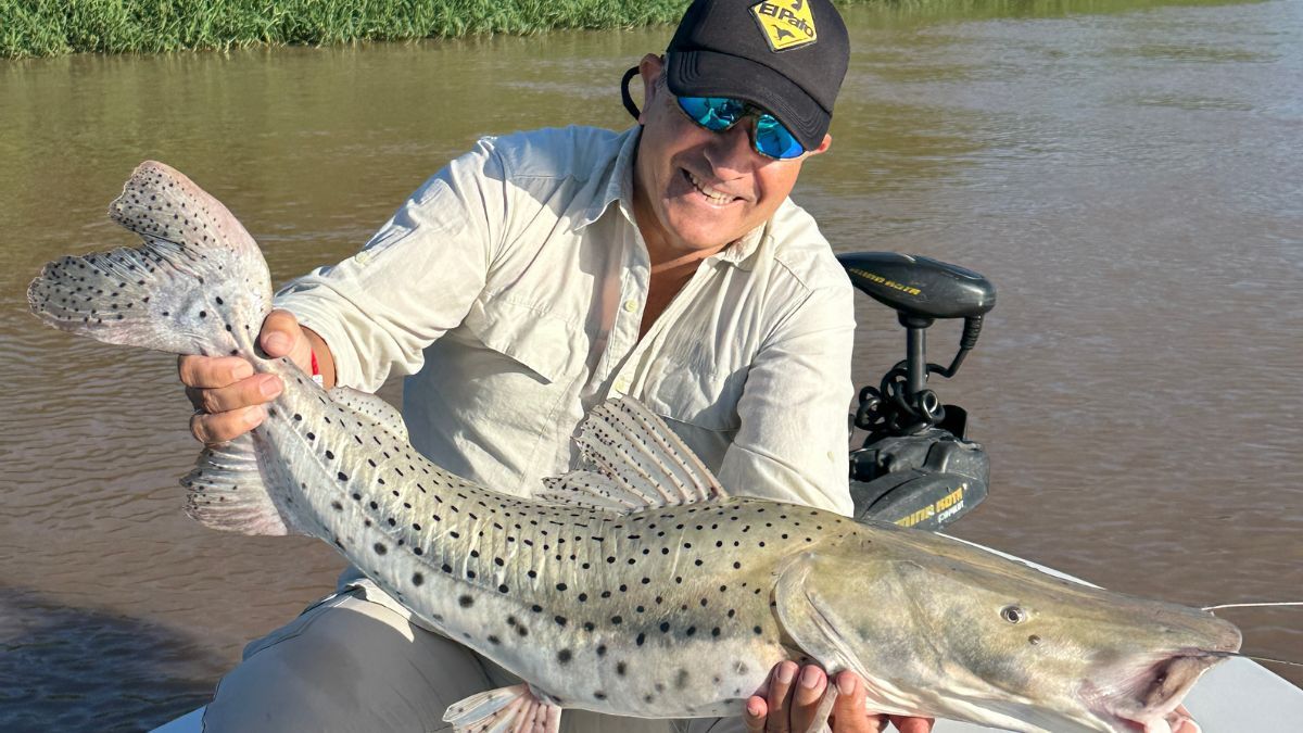Ariel Robledo, productor y conductor de El Pato TV, programa dedicada a la pesca en el litoral argentino, habló de la aparición de surubíes en la zona del Puente Carretero.