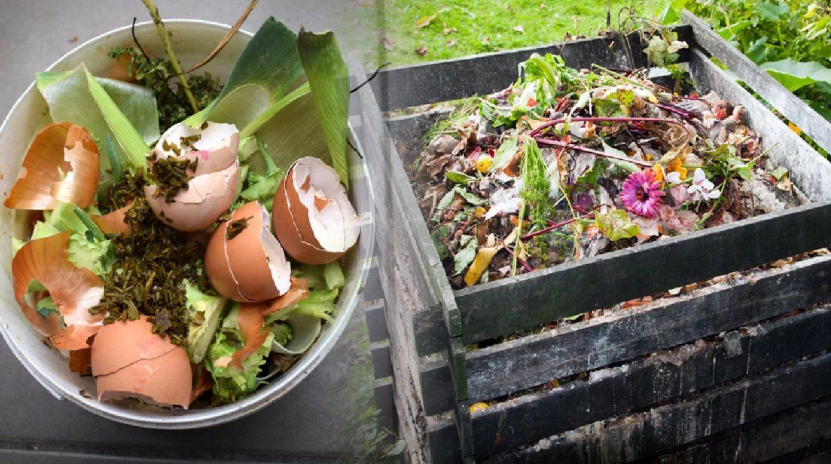 Si cada hogar tendría una compostera, se podría recuperar la mitad de los residuos que se producen.