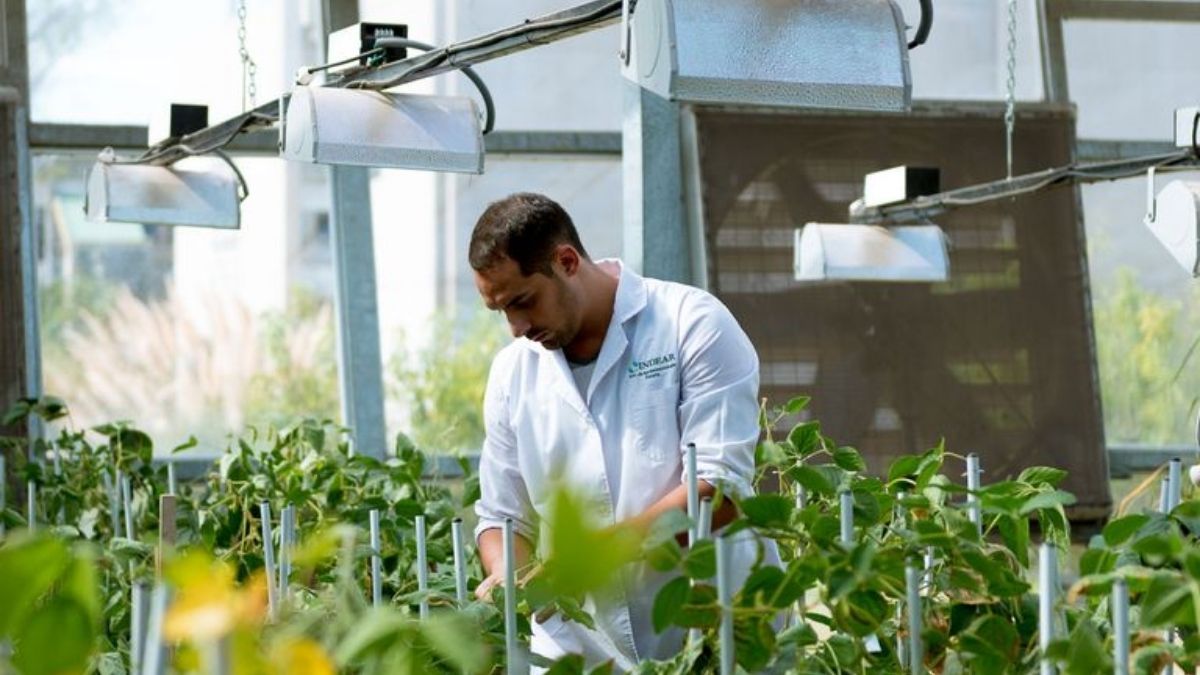 La idea es que haya 20 o 50 Bioceres en 10 años