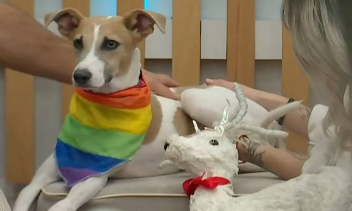 La tremenda advertencia de Gran Hermano a Arturo