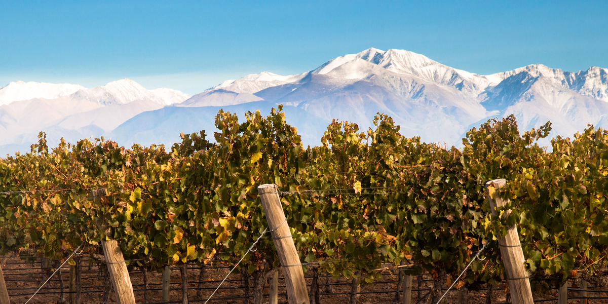 Mendoza es el destino ideal para quienes quieran disfrutar del vino y las montañas.