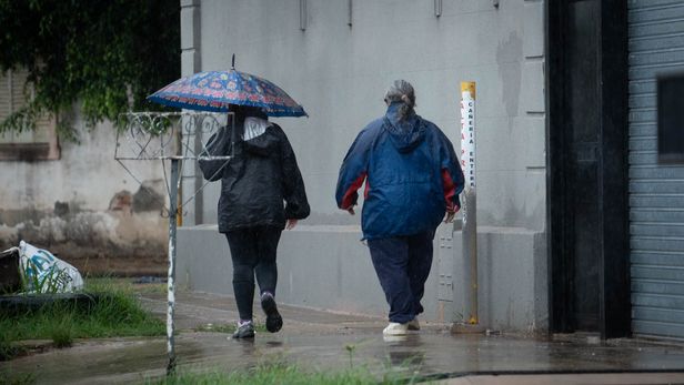 El informe semestral anticipa la consolidación de El Niño entre julio y agosto, con una posible intensificación hacia finales de 2026. El informe semestral anticipa la consolidación de El Niño entre julio y agosto, con una posible intensificación hacia finales de 2026.