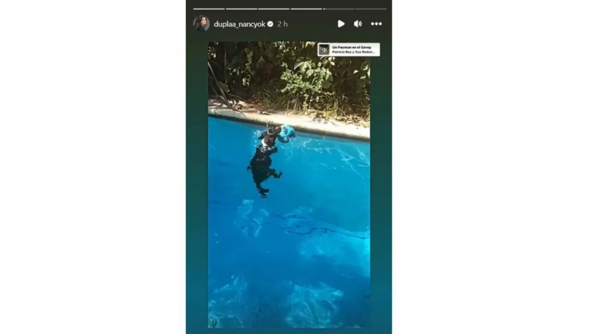 Así es la casa de Pablo Echarri y Nancy Dupláa.