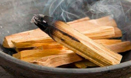 palo santo: que es y como aprovechar sus beneficios palo santo: que es y como aprovechar sus beneficios