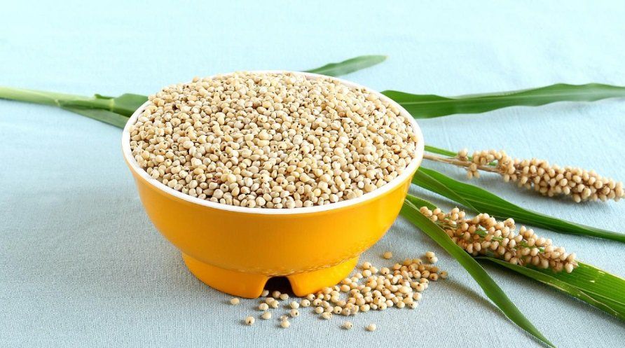 sorgo.jpg