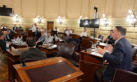 Aire de Santa Fe | Brilloni en el Senado 9.jpg
