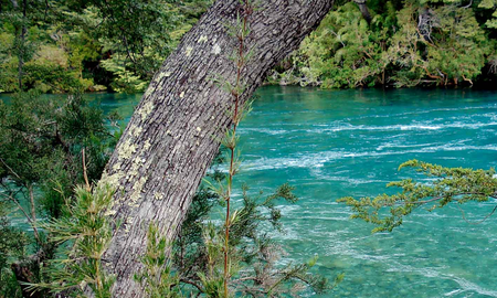 Un pequeño rincón de la patagonia para descubrir este verano Un pequeño rincón de la patagonia para descubrir este verano