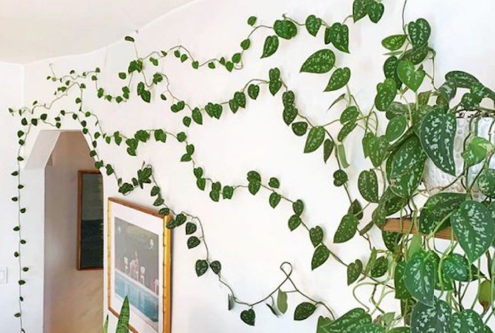 Tendencia de decoración