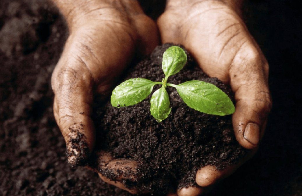 Ayuda a cuidar el medio ambiente