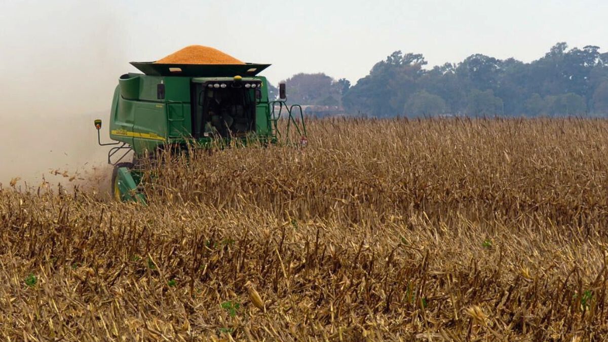 La liquidaci&oacute;n del campo repunta con la cosecha, pero arrastra una ca&iacute;da en lo que va del a&ntilde;o. .