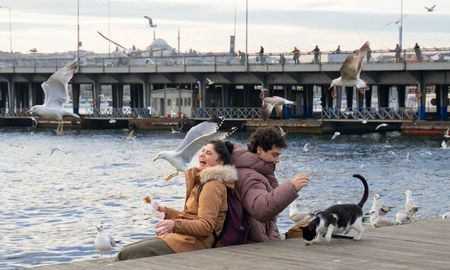 Esta intensa serie turca está disponible en Netflix. Esta intensa serie turca está disponible en Netflix.