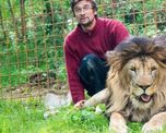 crio a dos leones en su casa como mascotas durante anos: murio devorado crio a dos leones en su casa como mascotas durante anos: murio devorado
