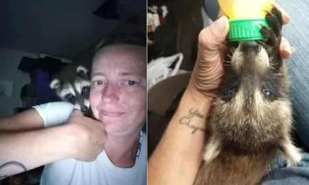 Fue detenida por llevar un mapache a un bar: las razones por las que mataron al animal Fue detenida por llevar un mapache a un bar: las razones por las que mataron al animal