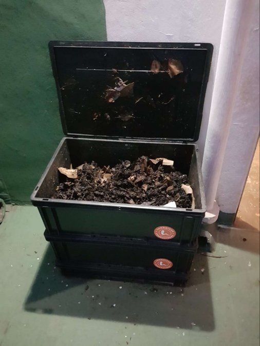 La venta de composteras creció principalmente desde mayo del año pasado.