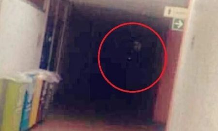 viral: un fantasma aparecio en los pasillos de una facultad mexicana viral: un fantasma aparecio en los pasillos de una facultad mexicana