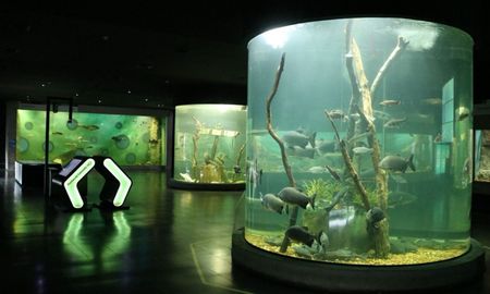 El sábado 21 de febrero, la explanada del Acuario se llenará de alegría y color para conmemorar sus ocho años de vida. El sábado 21 de febrero, la explanada del Acuario se llenará de alegría y color para conmemorar sus ocho años de vida.
