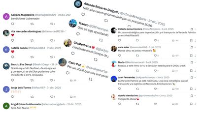 Likes bajo sospecha: la maquinaria de seguidores falsos de los gobernadores