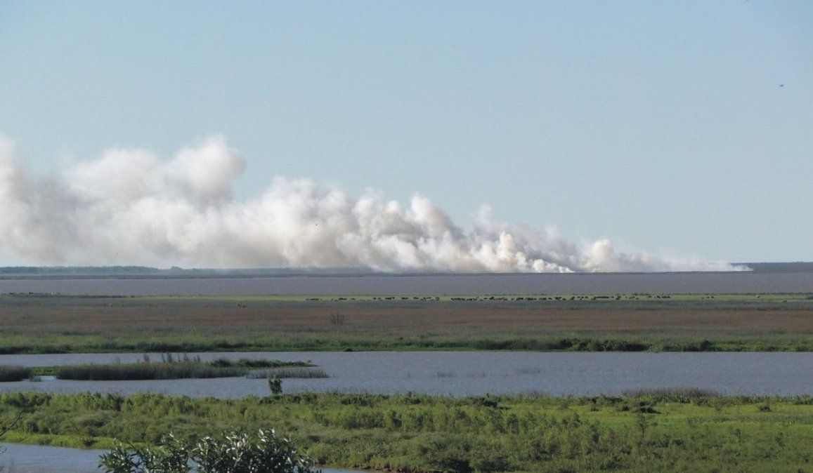 Fuego y humo, el peligroso combo de los veranos en las islas frente a Rosario