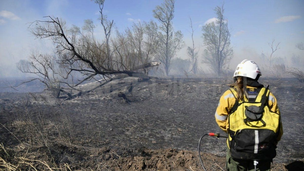 Más de 120 agrupaciones ambientalistas advierten de los retrocesos que se producirán en materia ambiental si se aprueba la Ley Ómnibus.