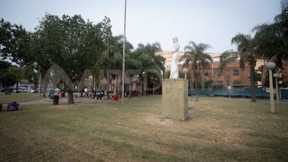 Una nena de ocho años fue atacada por un pitbull en barrio 12 de Octubre: fue herida en su pierna