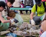 plasticos en el parana: botellas y envases son los mayores contaminantes del rio
