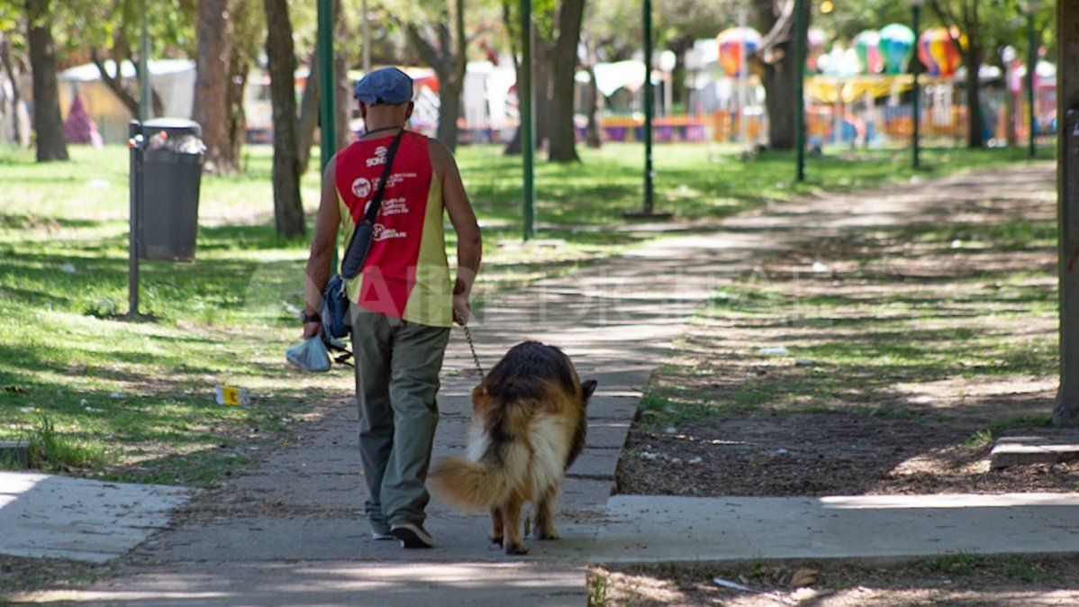A los miembros de las asociaciones de animales les asombra la cantidad de adopciones de adultos que hubo durante la pandemia.