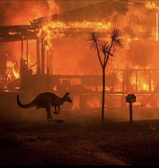 Afirman que hay 24 detenidos por provocar los incendios en Australia