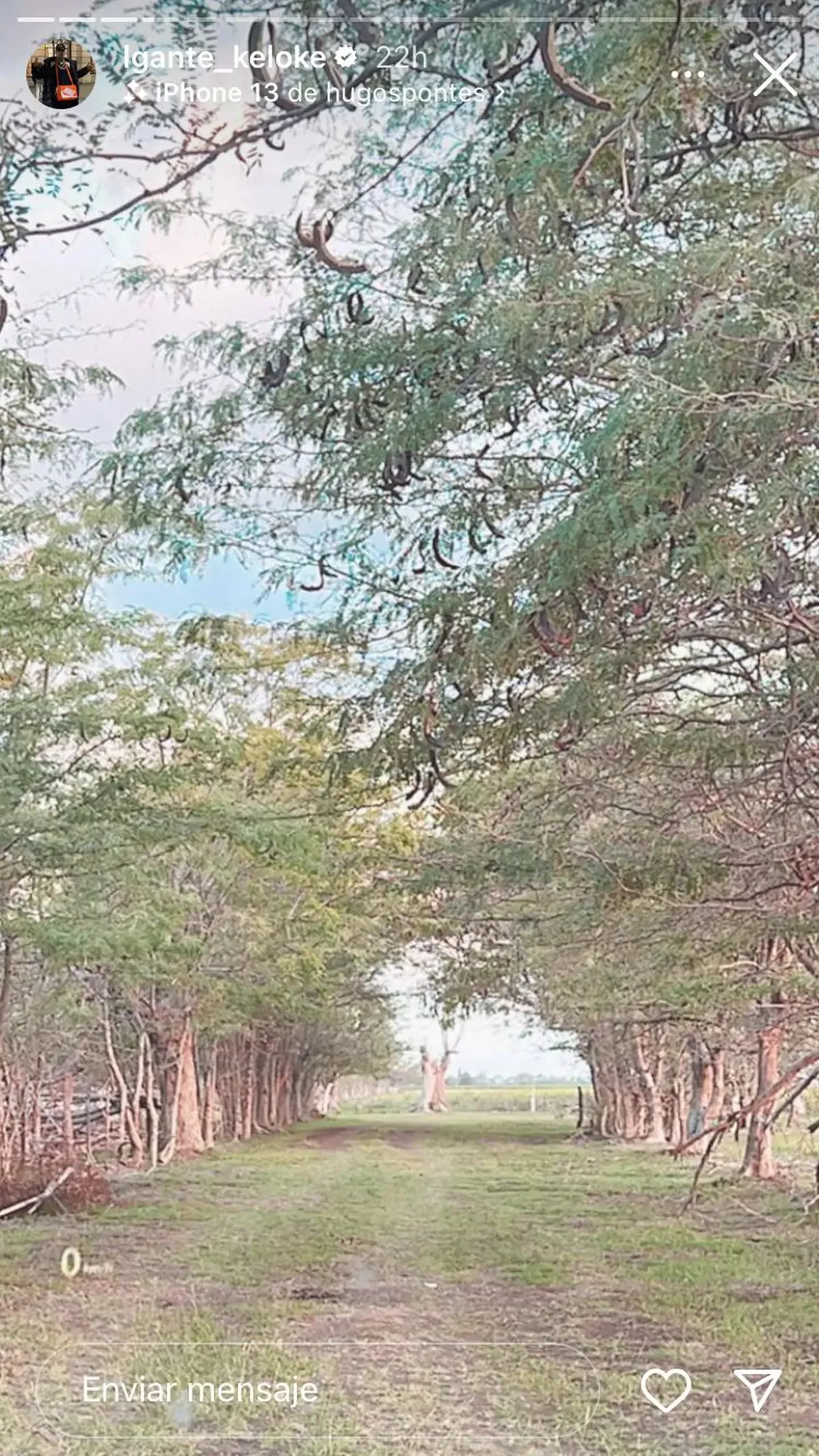 L-Gante fue acusado de usurpar un terreno en Carlos Keen.