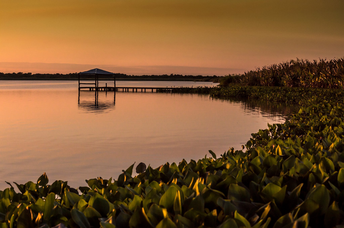 Parque Nacional Río Pilcomayo, Formosa