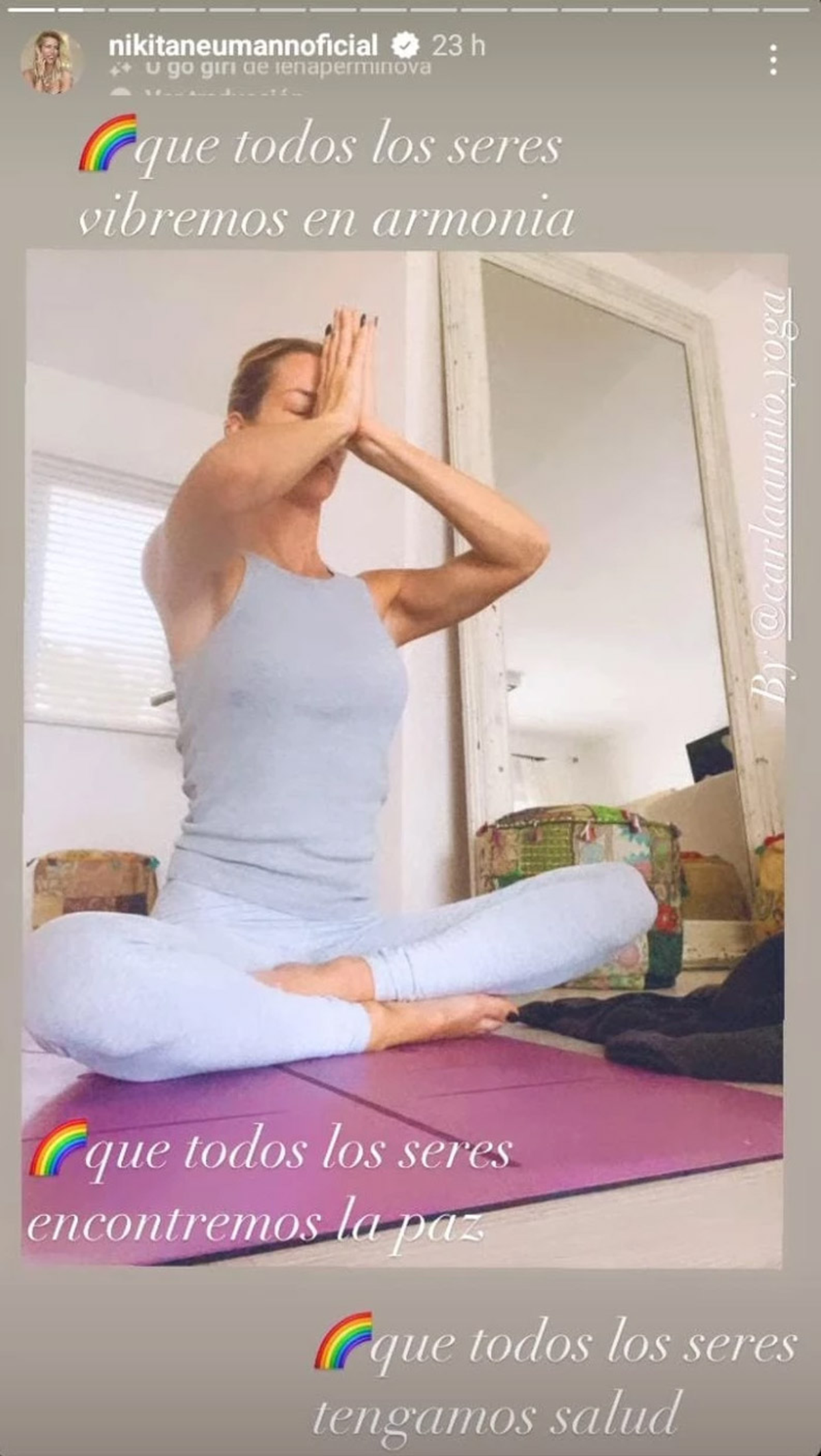 Así es la casa de Nicole Neumann en Tigre.