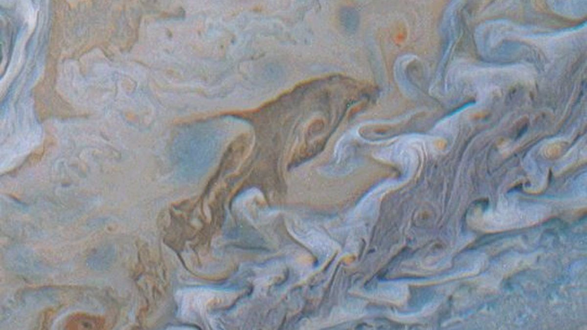 La NASA fotografió a un "delfín espacial" en la superficie de Júpiter. La NASA fotografió a un "delfín espacial" en la superficie de Júpiter.