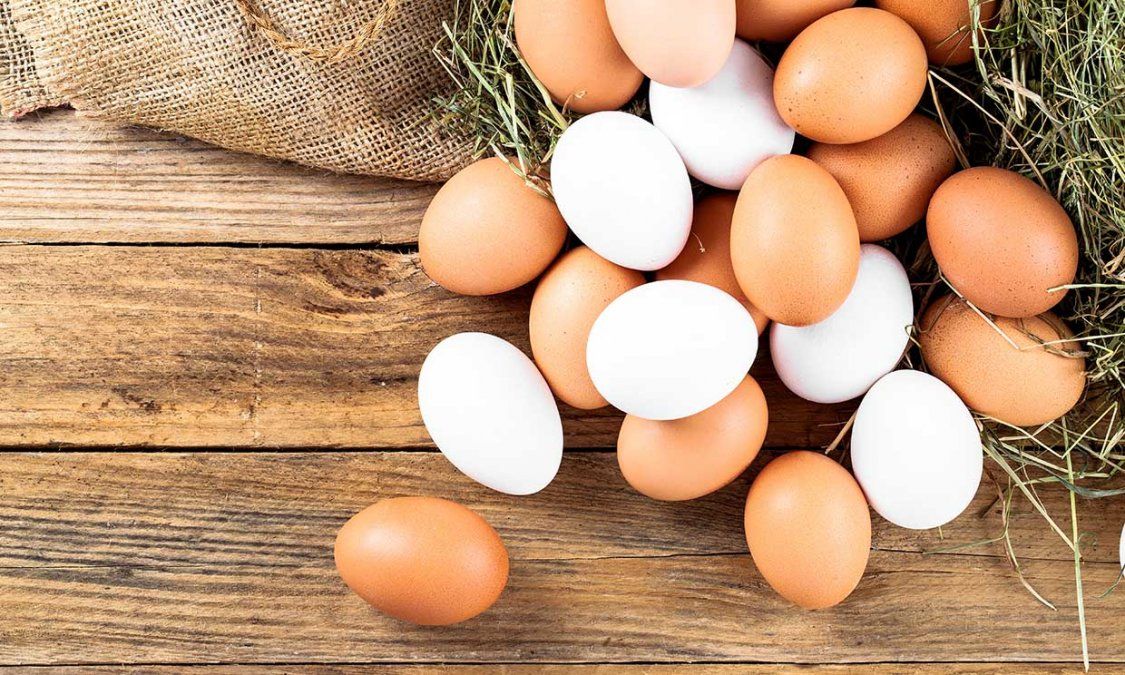 Cómo saber si los huevos que estamos consumiendo son saludables o no