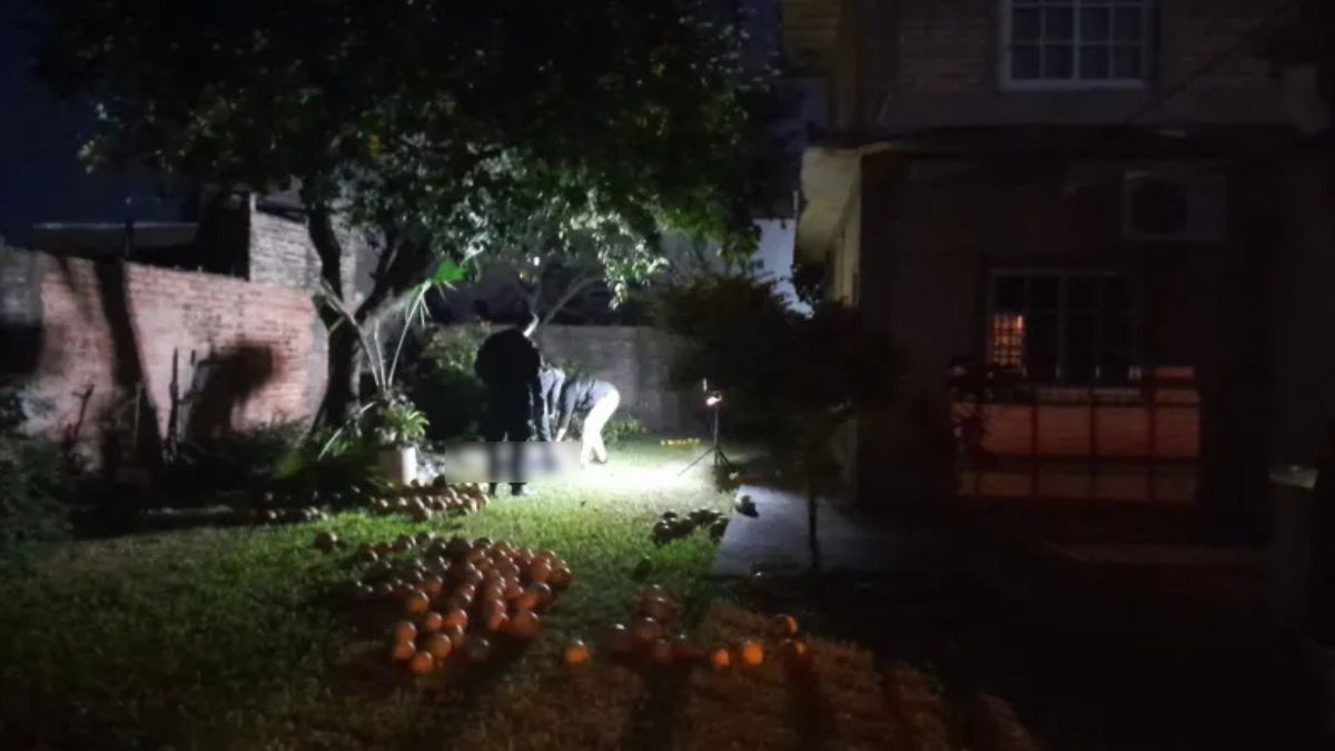 La víctima cayó de un árbol de pomelo mientras realizaba tareas de poda en el patio de su vivienda ubicada en el norte de la provincia de Santa Fe.