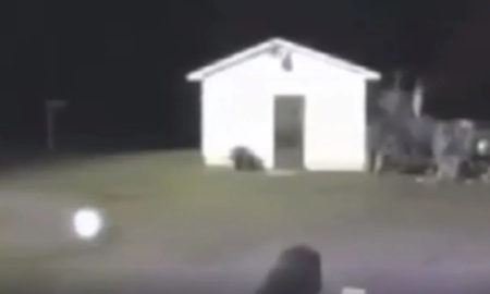 Aterrador: mujer filmó a un fantasma y los expertos lo calificaron como el mejor video paranormal del año Aterrador: mujer filmó a un fantasma y los expertos lo calificaron como el mejor video paranormal del año
