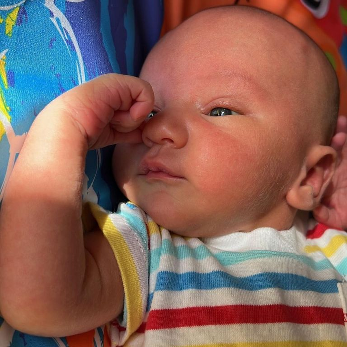 Nicole dijo que sus hijas hacía rato estaban esperando un hermanito.