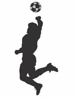 Matías Morla solicitó el registro de una conocida imagen del astro.