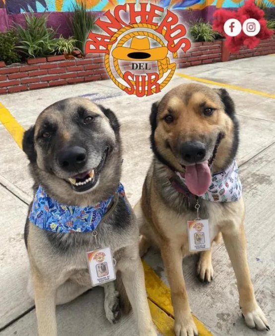 Costilla y Adobada en su vestimenta laboral