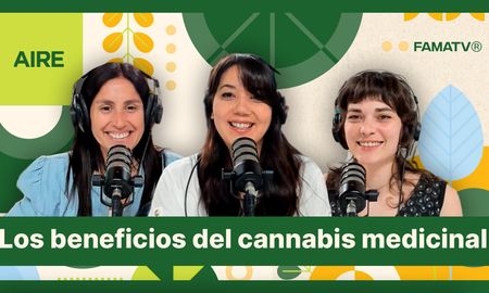 cannabis medicinal e iniciativas jovenes para un cambio cannabis medicinal e iniciativas jovenes para un cambio