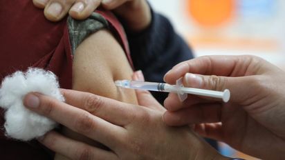 Vacunación contra la fiebre amarilla: quiénes deben aplicársela y qué países la exigen