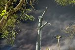Las farolas instaladas en el cantero central de Aristóbulo del Valle fueron arrancadas y robadas a pocos días de la inauguración de la remodelación de la avenida.