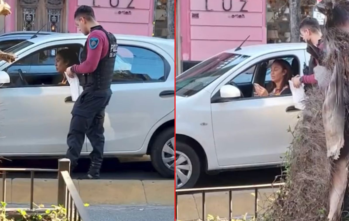 Ernestina Pais quiso escapar luego de chocar a un auto y fue detenida por la policía.