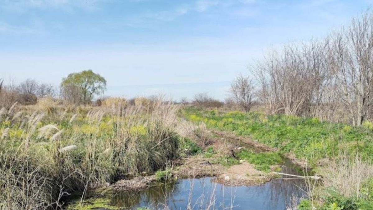 Merlo: hallaron el cadáver de un hombre con un balazo en la cabeza&nbsp;